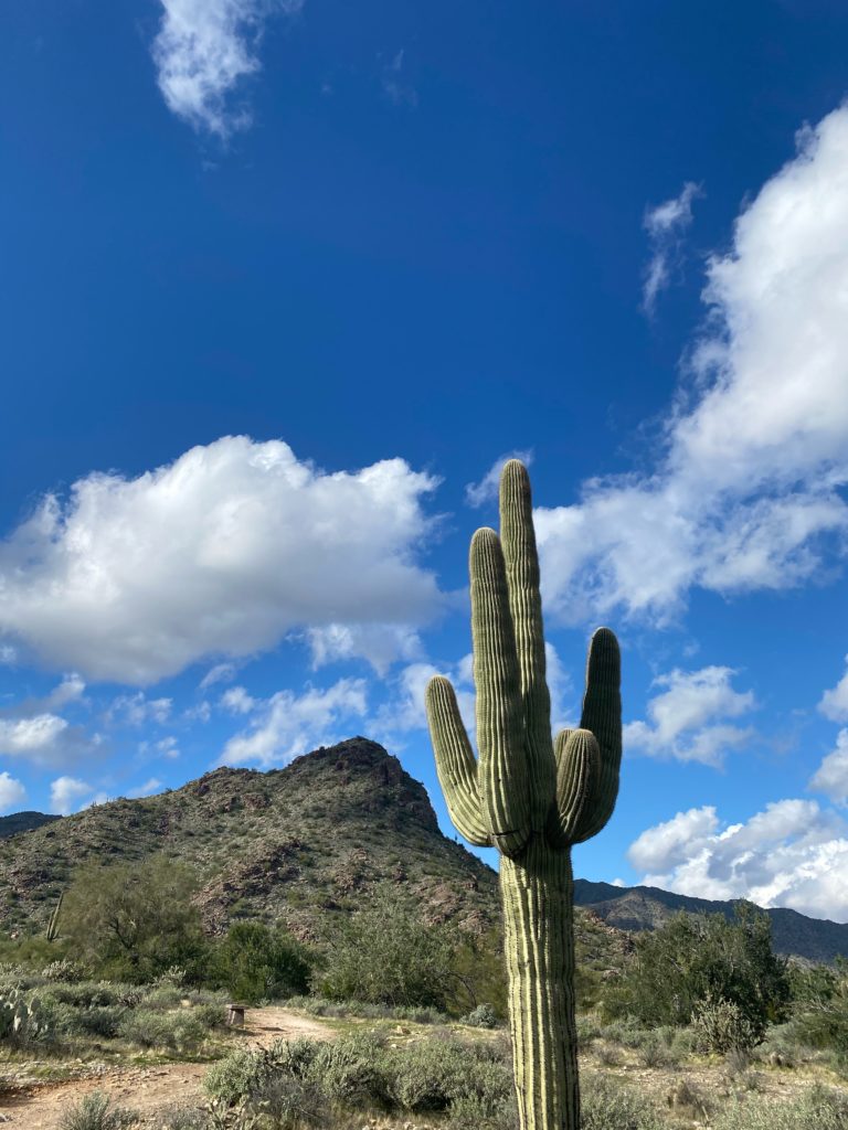 Adventures in Arizona | d-ravel.com