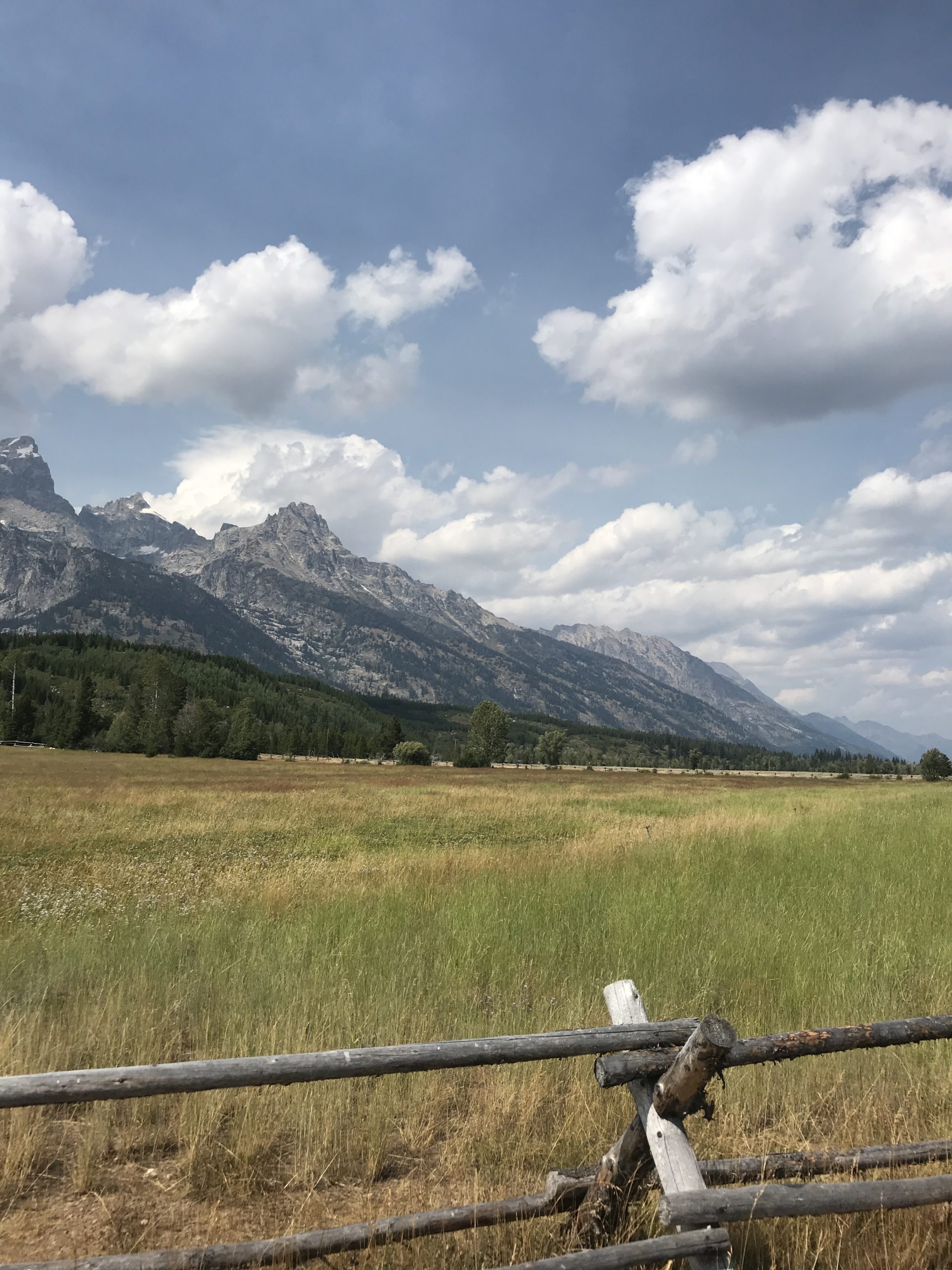 Our Adventure in Grand Teton National Park and Jackson Hole, WY · D-RAVEL