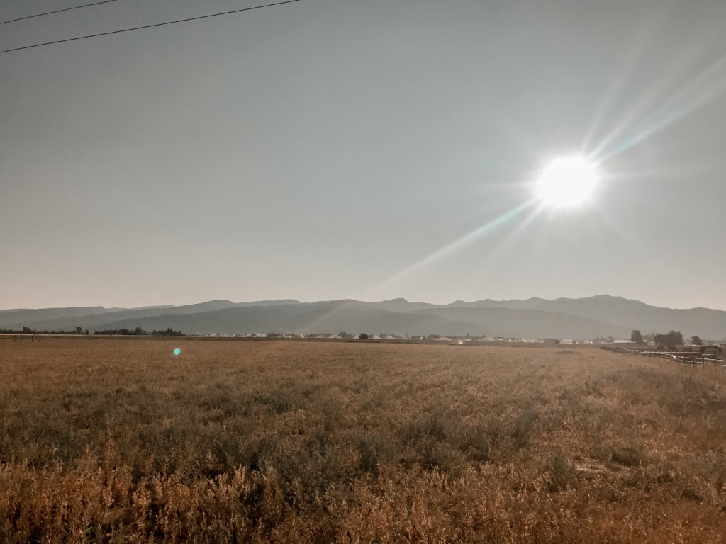 Our Adventure in Grand Teton National Park and Jackson Hole, WY