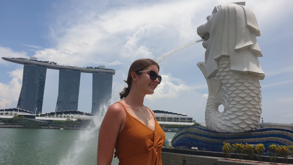 Why You Should Travel to Singapore | d-ravel.com