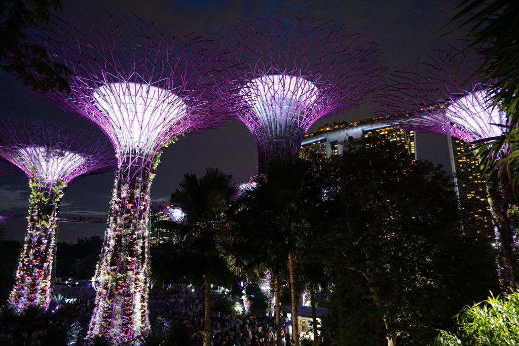 Why You Should Travel to Singapore | d-ravel.com