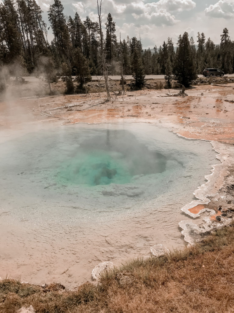 My Experience in Yellowstone National Park | d-ravel.com