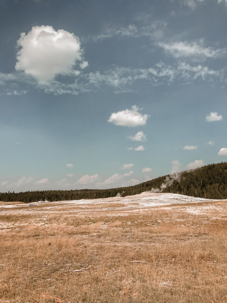 My Experience in Yellowstone National Park | d-ravel.com