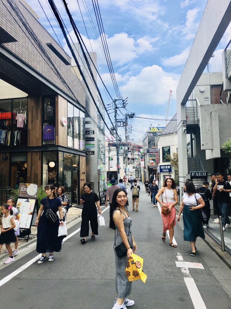 Travel Guide to Tokyo, Japan | d-ravel.com