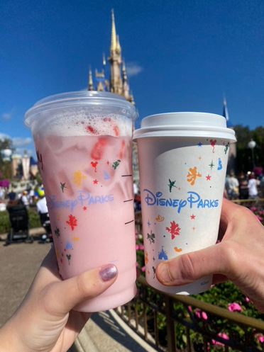 Magic Kingdom snacks | d-ravel.com